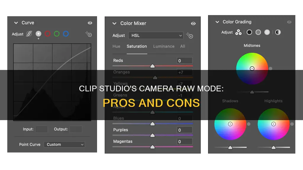 is there a camera raw mode on clip studio