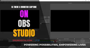 How to Capture Your Monitor Using OBS Studio