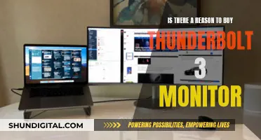 Thunderbolt 3 Monitors: Worth the Upgrade?