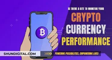 Tracking Crypto: Monitor Your Investment Performance Online