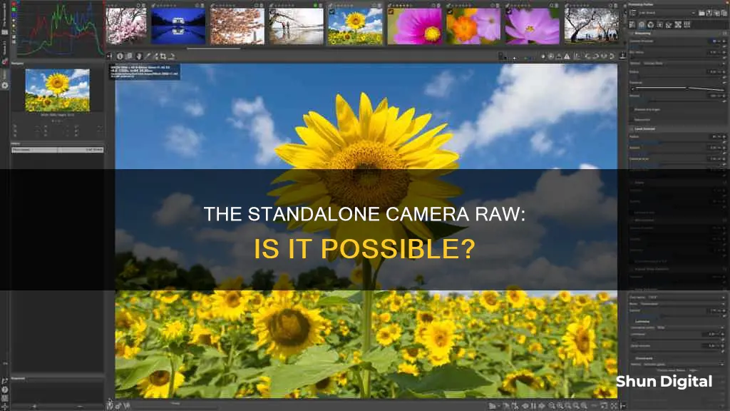 is there a standalone camera raw