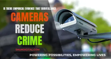 Surveillance Cameras: Crime Reduction Backed by Evidence?