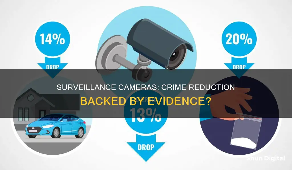 is there empirical evidence that surveillance cameras reduce crime