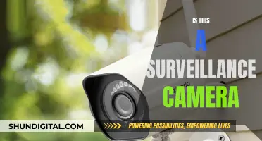 Surveillance Cameras: Are They Watching You?