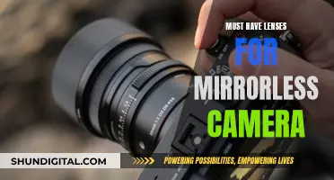 The Ultimate Lens Kit for Your Mirrorless Camera