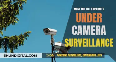 Should Employees Be Informed About Camera Surveillance?