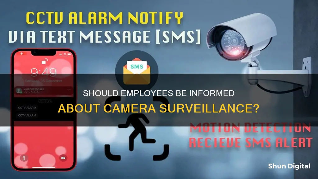 must you tell employees under camera surveillance