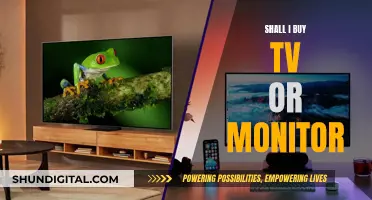 TV or Monitor: Which Should You Buy?