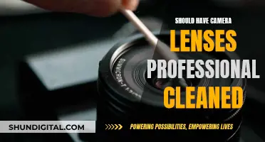 Camera Lens Cleaning: To DIY or to Outsource?