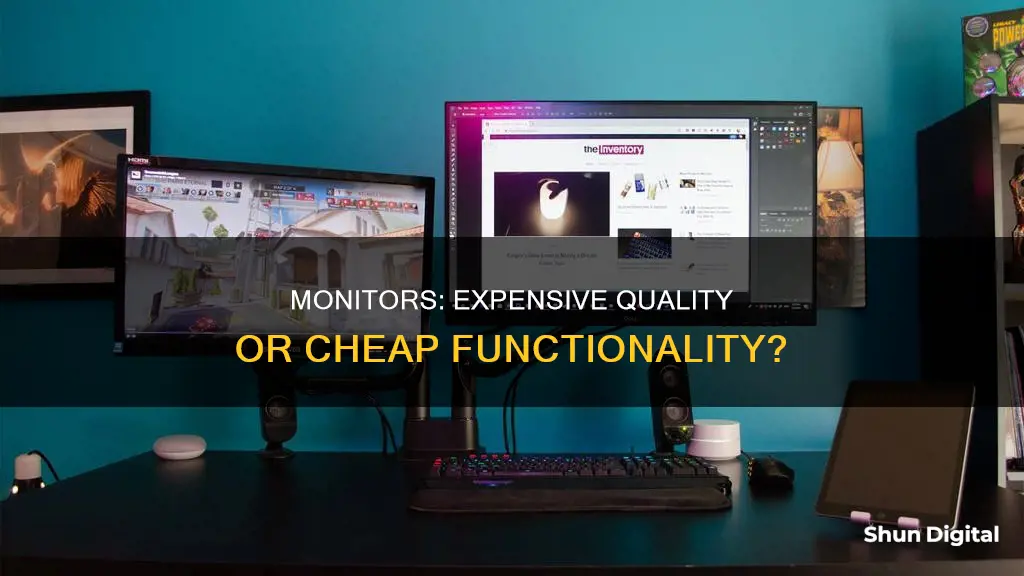 should i buy a cheap or expensive monitor