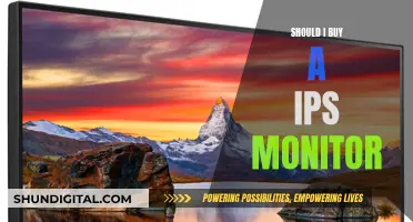 IPS Monitor: Worth the Investment?