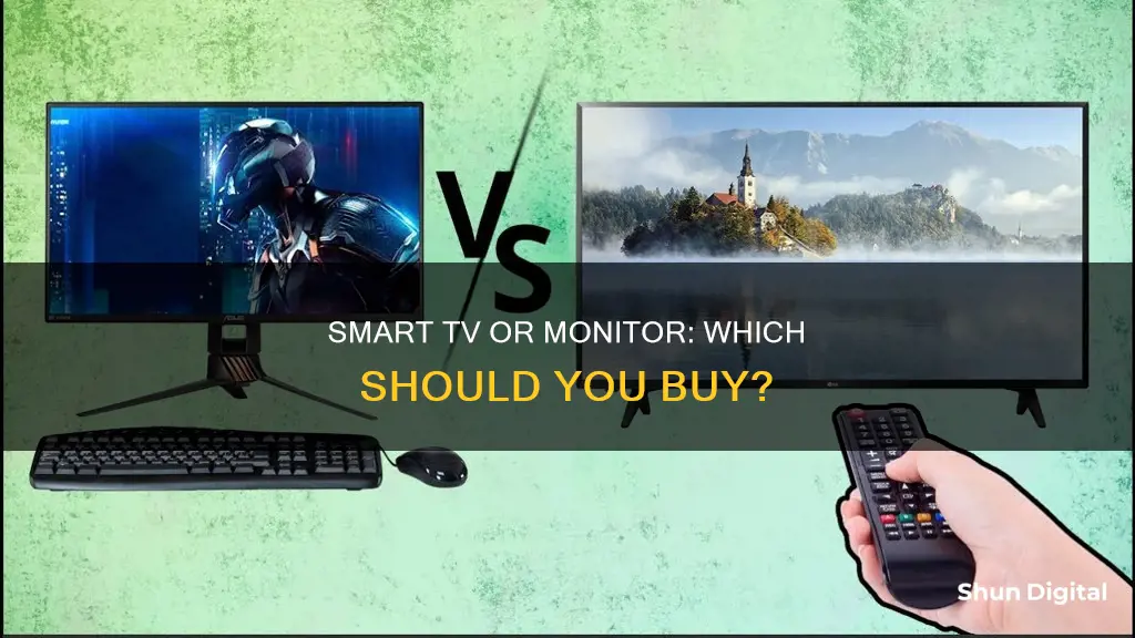 should i buy a smart tv or a monitor