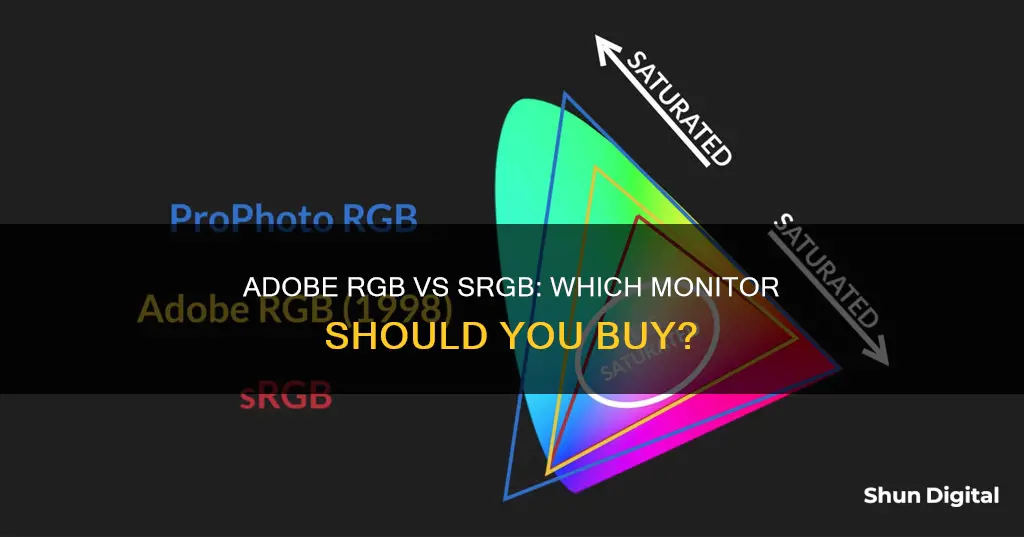 should i buy an adobe rgb or srgb monitor