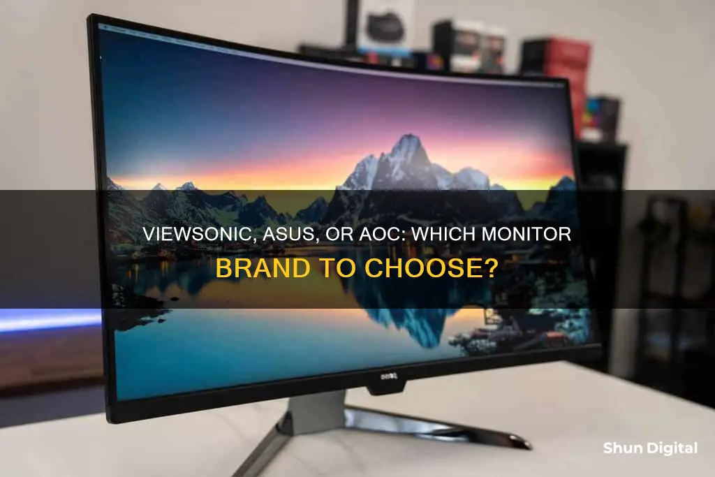 should i buy an asus viewsonic or aoc monitor