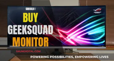 GeekSquad Monitor: Worth the Money?