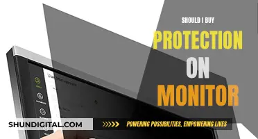 Monitor Protection: Worth the Extra Cost?