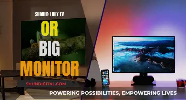 TV or Monitor: Which Big Screen Should You Buy?