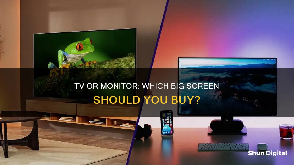 should i buy tv or big monitor