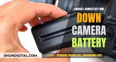 Don't Drain Your Camera Battery: Here's Why