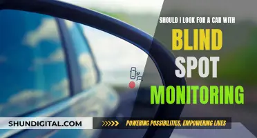 Blind Spot Monitoring: A Necessary Feature for Your Next Car?