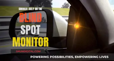 Blind Spot Monitor: Trust but Verify