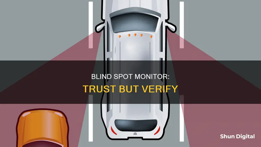 should i rely on the blind spot monitor