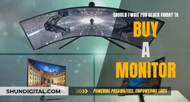 Black Friday Monitor Deals: Worth the Wait?