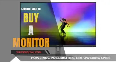 Monitor Buying: Should You Wait or Buy Now?