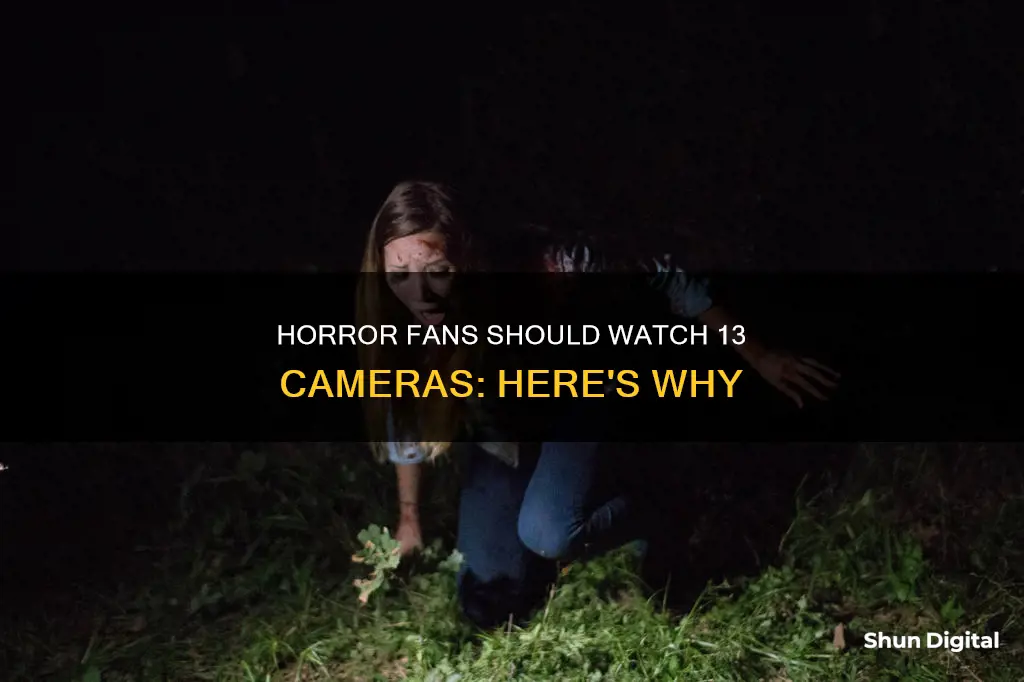 should I watch 13 cameras