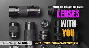 Camera Lenses: Pack Light or Bring Them All?