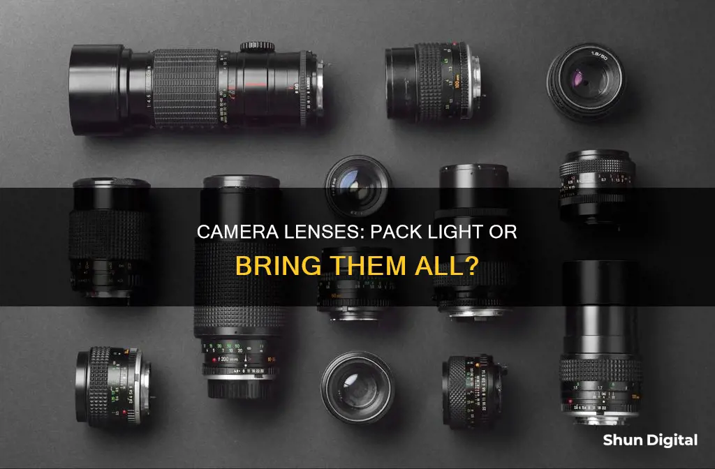 should you bring around camera lenses with you