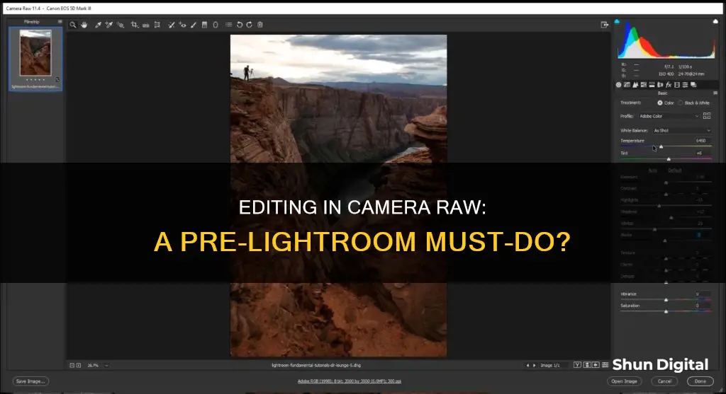 should you edit in camera raw before lightroom