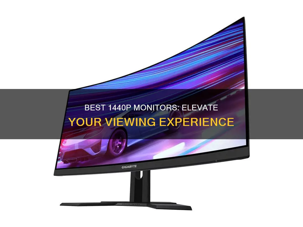 what 1440p monitor should i buy