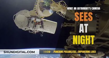 Astronaut's Night Vision: Capturing the Night Sky