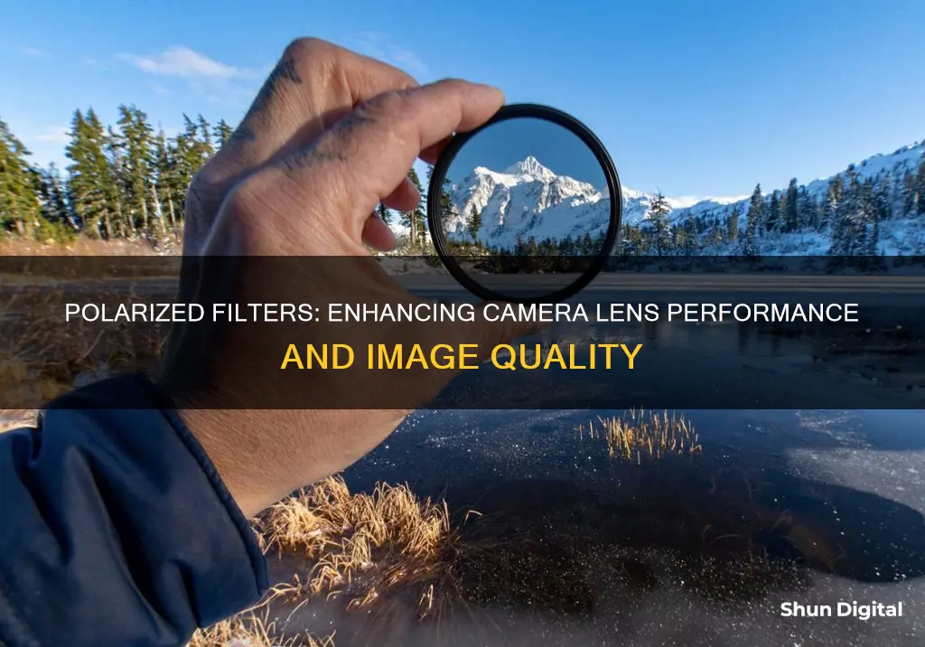 what are benefits of polarized filter for camera lense