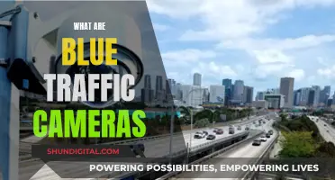 Traffic Cameras: Blue Surveillance and Your Privacy