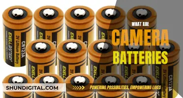 Understanding Camera Batteries: Powering Your Photography