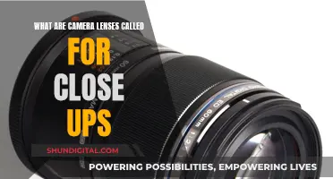 Understanding Macro Camera Lenses for Extreme Close-ups