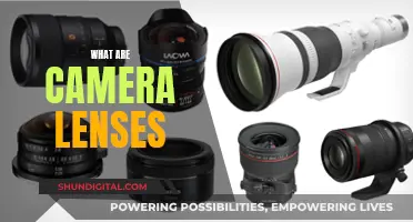 Understanding Camera Lenses: Capturing the Perfect Shot