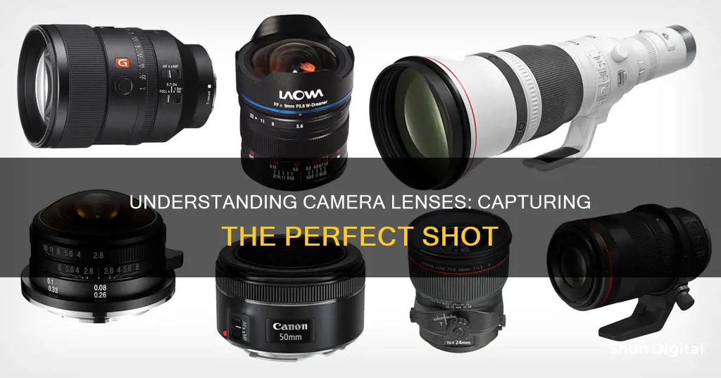 what are camera lenses