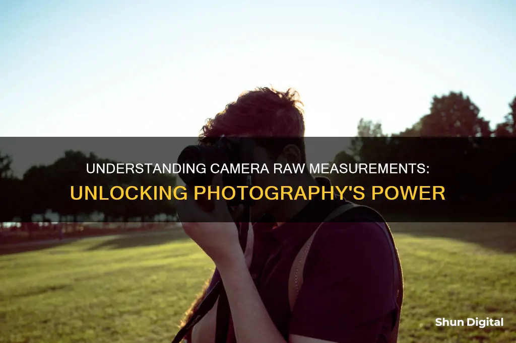 what are camera raw measurements