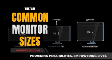 Monitor Sizes: Common Display Dimensions for Your Setup