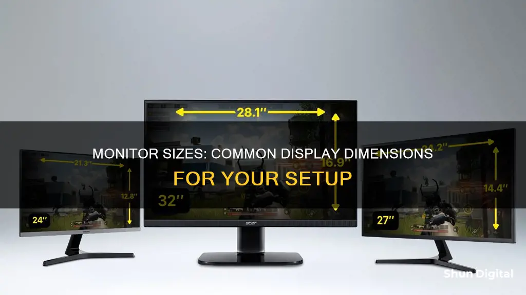 what are common monitor sizes