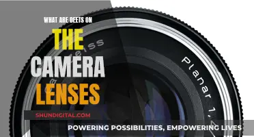 Camera Lenses: Understanding the Basics of Photography