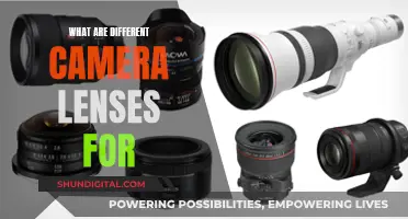 Understanding Camera Lenses: Capturing Unique Perspectives