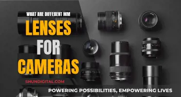 Understanding Camera Lenses: Capturing Perfect Shots with Different MM Lenses