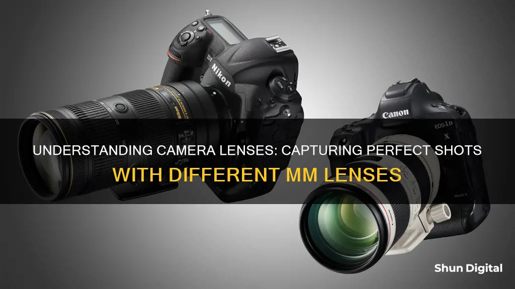 what are different mm lenses for cameras