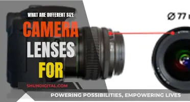 Understanding Camera Lenses: Capturing Unique Perspectives