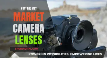 The Grey Market: Camera Lenses Explained