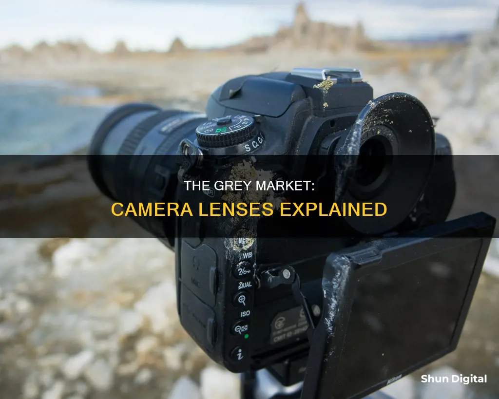 what are grey market camera lenses